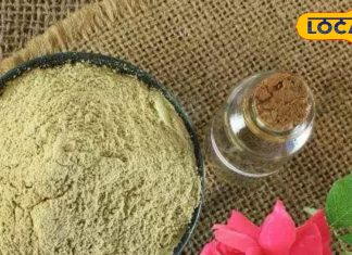 Hair Care Tips: मुल्तानी मिट्टी है बालों के लिए ‘संजीवनी बूटी’, सर्दियों में डैंड्रफ और झड़ने की समस्या से मिलेगा छुटकारा; जानें कैसे करें इस्तेमाल