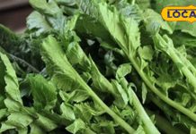 Winter Detox Food | Natural Detox Leaves | Diabetes Cure Herbs | Immunity Booster | Ayurvedic Health Tips | Blood Sugar Control | Winter Health Tips