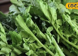 Winter Detox Food | Natural Detox Leaves | Diabetes Cure Herbs | Immunity Booster | Ayurvedic Health Tips | Blood Sugar Control | Winter Health Tips