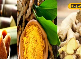 अदरक, गुड़ और हल्दी सेहत के तीन साथी, सर्दी में आ जाएगी गर्मी, इम्युनिटी बूस्ट होने के साथ दिल भी होगा सेहतमंद – Uttar Pradesh News