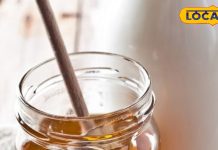 क्यों रात में पिएं शहद वाला दूध? नींद से लेकर इम्युनिटी तक देता है कमाल के लाभ, फायदे जानकर चौंक जाएंगे – Uttar Pradesh News