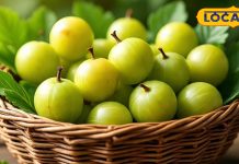 Amla Storage Tips: बस ये छोटा सा काम, महीनों तक बेदाग और हरा-ताजा रहेगा आंवला, जानें घरेलू उपाय