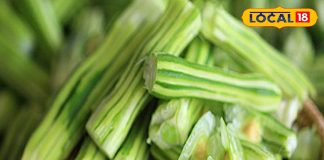 इम्युनिटी, स्किन, हड्डियां… किस चीज़ में फायदेमंद नहीं है मोरिंगा? फायदे जानकर रह जाएंगे हैरान – Uttar Pradesh News