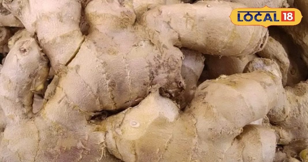 खांसी से नींद उड़ गई? किचन में रखी ये चीज़ें तुरंत दिलाएंगी राहत, जानें इसका सीक्रेट नुस्खा – Uttar Pradesh News