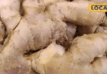 खांसी से नींद उड़ गई? किचन में रखी ये चीज़ें तुरंत दिलाएंगी राहत, जानें इसका सीक्रेट नुस्खा – Uttar Pradesh News