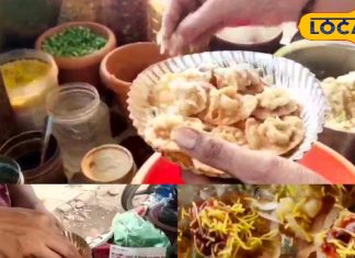 सिर्फ ₹20 में 8 पीस स्वाद का धमाका! जांजगीर की ये पापड़ी बटाटा खाए बिना अधूरी है शाम, लगती है लंबी कतार