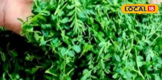 अड्डा-मटन छोड़िए.. सर्दी में खाए यह सेहतमंद साग, शरीर रखेगा गर्म! खून बढ़ाने, पाचन सुधारने और सुस्ती करेगा दूर – Jharkhand News