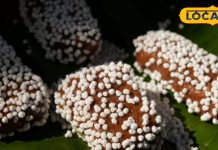 अल्मोड़ा की 159 साल पुरानी बाल मिठाई, स्वाद ही नहीं संस्कृति की भी है पहचान; पूर्व PM राजीव गांधी को भी थी पसंद