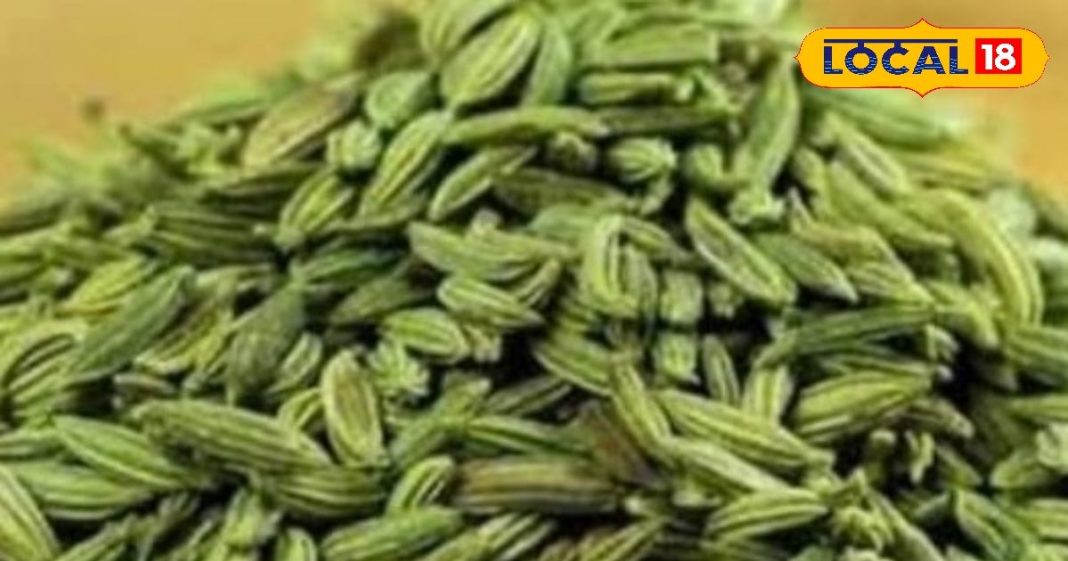 Regular consumption of fennel is considered beneficial in many diseases like constipation, diabetes and skin related diseases. Barabanki Ayurvedic Medicine – Himachal Pradesh News