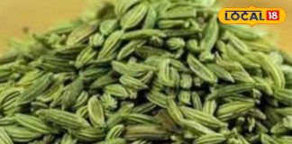 Regular consumption of fennel is considered beneficial in many diseases like constipation, diabetes and skin related diseases. Barabanki Ayurvedic Medicine – Himachal Pradesh News