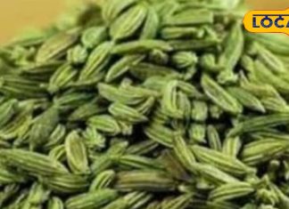 Regular consumption of fennel is considered beneficial in many diseases like constipation, diabetes and skin related diseases. Barabanki Ayurvedic Medicine – Himachal Pradesh News