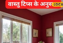 Vastu Tips: अमीर लोग अपने घर की इस दिशा में रखते हैं लाल रंग की ये चीजें, कभी नहीं होती धन की कमी, बढ़ती है इनकम