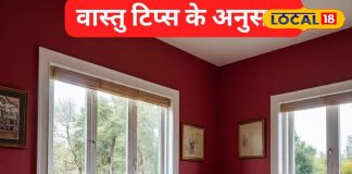 Vastu Tips: अमीर लोग अपने घर की इस दिशा में रखते हैं लाल रंग की ये चीजें, कभी नहीं होती धन की कमी, बढ़ती है इनकम