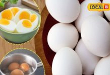 अंडा करी बनाते समय इन बातों का रखें ध्यान, लाजवाब है ये आसान तरीका, मिलेगा बेहतरीन स्वाद