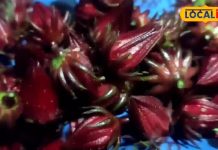 Recipe: चखी है फूलों वाली सब्जी? बस्तर वालों की फेवरेट, ये है आसान रेसिपी – Chhattisgarh News