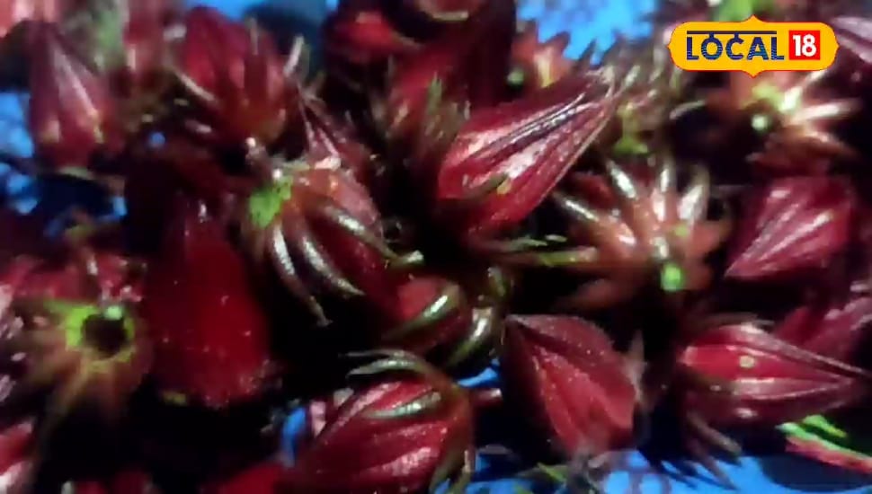 Recipe: चखी है फूलों वाली सब्जी? बस्तर वालों की फेवरेट, ये है आसान रेसिपी – Chhattisgarh News