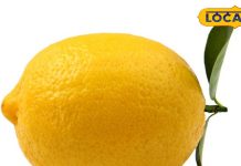 Uttarakhand: सर्दियों में नींबू से बनाएं पहाड़ों की ये शानदार रेसिपी, स्वाद ऐसा मजेदार कि चटकारे लेकर खाएगा हर कोई – Uttarakhand News