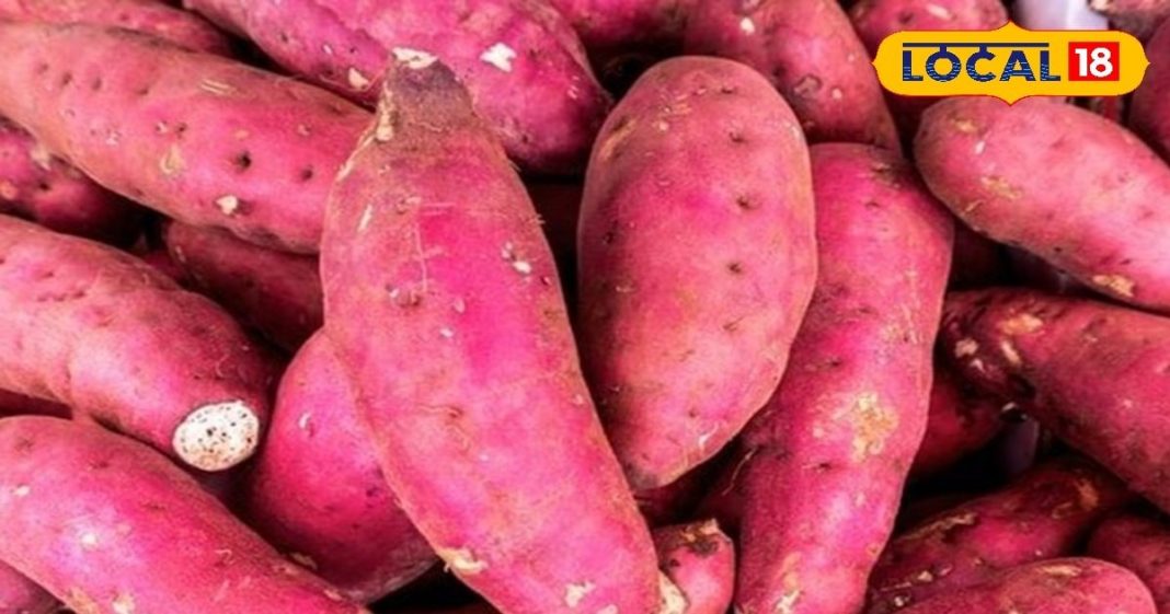 Recipe: कुकर-कढ़ाई में ऐसे पकाएं शकरकंद, नहीं होगी कोयले या अंगीठी की जरूरत, भूल नहीं पाएंगे स्वाद – Bihar News