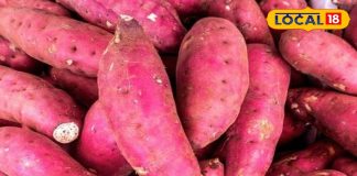 Recipe: कुकर-कढ़ाई में ऐसे पकाएं शकरकंद, नहीं होगी कोयले या अंगीठी की जरूरत, भूल नहीं पाएंगे स्वाद – Bihar News