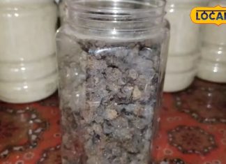 Famous Amla Murabba : दौसा के किसान का जादुई फार्मूला… ऐसा मुरब्बा बनाया कि खाने वाले भूल गए बाजार का स्वाद!