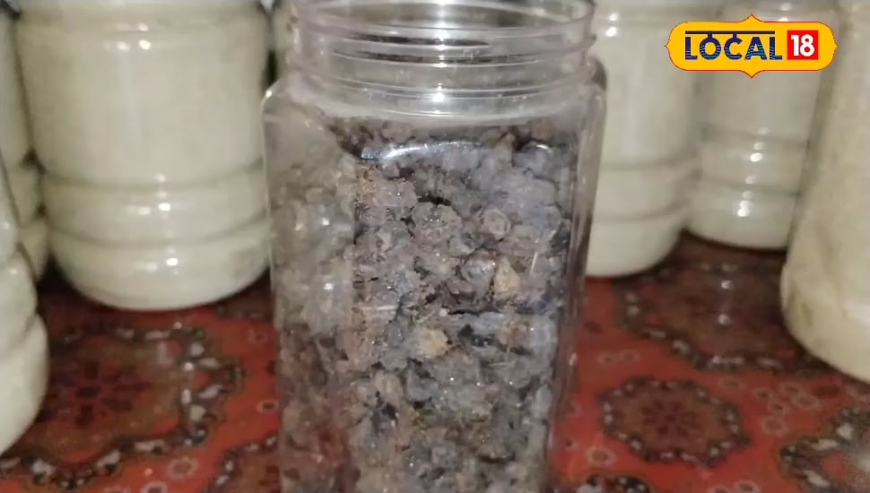 Famous Amla Murabba : दौसा के किसान का जादुई फार्मूला… ऐसा मुरब्बा बनाया कि खाने वाले भूल गए बाजार का स्वाद!