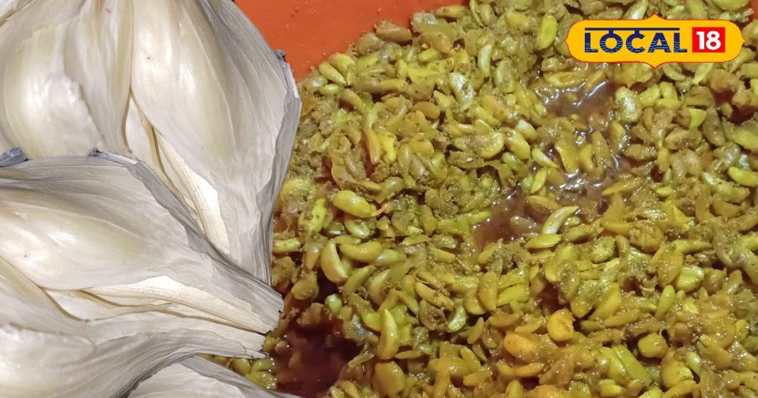 अब घर पर 10 मिनट में डालें चटपटा लहसुन अचार, सालों साल तक नहीं होगा खराब; जानें रेसिपी – Uttar Pradesh News