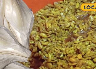 अब घर पर 10 मिनट में डालें चटपटा लहसुन अचार, सालों साल तक नहीं होगा खराब; जानें रेसिपी – Uttar Pradesh News