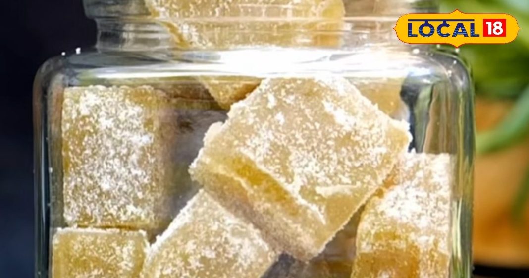 Amla Candy Recipe: खट्टा-कड़वा स्वाद भूला देगी ये ‘घर की कैंडी’; ₹50 खर्च कर 1 साल के लिए सेहत होगी पैक! – Madhya Pradesh News