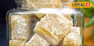 Amla Candy Recipe: खट्टा-कड़वा स्वाद भूला देगी ये ‘घर की कैंडी’; ₹50 खर्च कर 1 साल के लिए सेहत होगी पैक! – Madhya Pradesh News