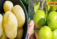 kitchen Tips: आलू और अंडे उबालते समय.. नींबू डालने के हैरान कर देने वाले फायदे, यकीन नहीं कर पाएंगे आप – Bihar News