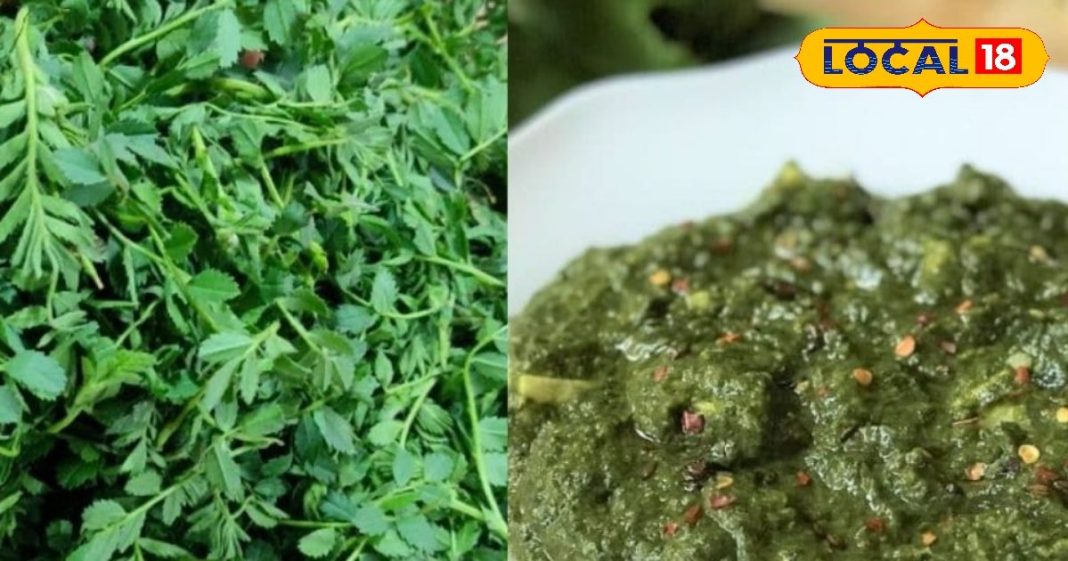 Winter Superfood: अंडा-मटन छोड़िए… सर्दी में खाएं ये सेहतमंद साग, आयरन का भंडार, शरीर को रखेगा गर्म!