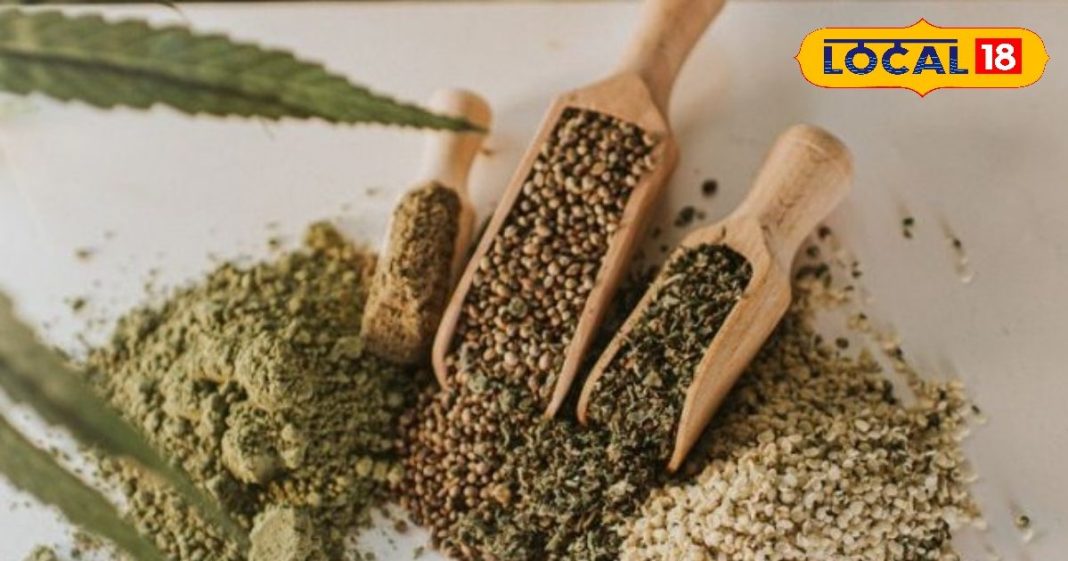 सर्दियों का सीक्रेट मसाला…जानें पहाड़ों की हर सब्जी में क्यों डाली जाती है भांग, औरतें-बच्चे सब खाते हैं! – Uttarakhand News