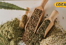 सर्दियों का सीक्रेट मसाला…जानें पहाड़ों की हर सब्जी में क्यों डाली जाती है भांग, औरतें-बच्चे सब खाते हैं! – Uttarakhand News