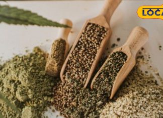 सर्दियों का सीक्रेट मसाला…जानें पहाड़ों की हर सब्जी में क्यों डाली जाती है भांग, औरतें-बच्चे सब खाते हैं! – Uttarakhand News