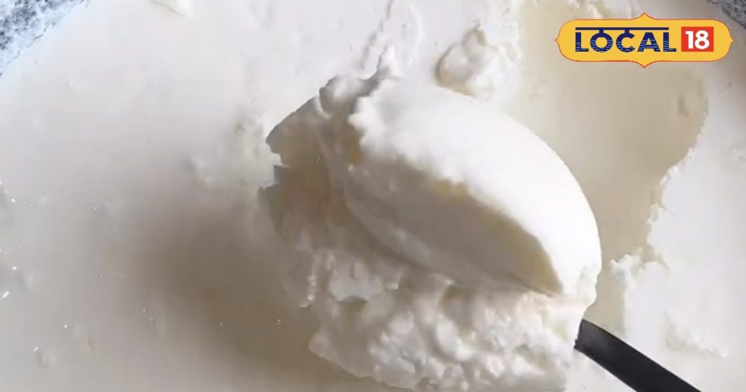 ऐसा मलाईदार, गाढ़ा दही पूरे कोडरमा में कहीं नहीं, दुकान खुलते ही लगती है लाइन, जरा लेट हुए तो लौटना पड़ता खाली हाथ!