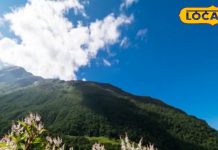 7000 Rs किलो वाला ये पहाड़ी मसाला… पेट कर देगा चकाचक! दमा, डायबिटीज, जॉन्डिस में भी फायदेमंद – Uttarakhand News