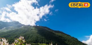 7000 Rs किलो वाला ये पहाड़ी मसाला… पेट कर देगा चकाचक! दमा, डायबिटीज, जॉन्डिस में भी फायदेमंद – Uttarakhand News