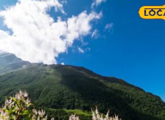 7000 Rs किलो वाला ये पहाड़ी मसाला… पेट कर देगा चकाचक! दमा, डायबिटीज, जॉन्डिस में भी फायदेमंद – Uttarakhand News