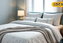 मोबाइल और लैपटॉप… बेडरूम में ये चीजें कभी न रखें, वास्तु शास्त्र के अनुसार नुकसान हो सकता है, जानिए टिप्स