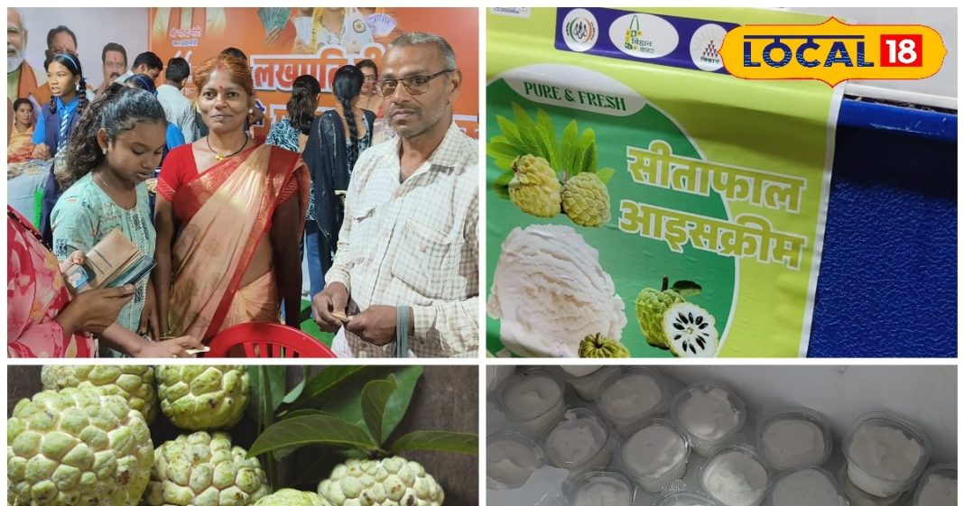 क्या आपने चखी सीताफल की आइसक्रीम? ग्रामीण महिलाएं कर रहीं तैयार, फटाफट देखें रेसिपी – Chhattisgarh News