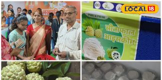 क्या आपने चखी सीताफल की आइसक्रीम? ग्रामीण महिलाएं कर रहीं तैयार, फटाफट देखें रेसिपी – Chhattisgarh News