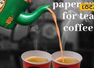 पेपर कप में चाय पीने से होता है कैंसर? क्या है सच्चाई, एक्सपर्ट डॉक्टर से ही जान लीजिए