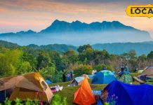 Hill Station in MP: स्विट्जरलैंड जाने की जरूरत नहीं! खूबसूरत वादियों के बीच बसा शहर, अंग्रेजों का फेवरेट, होती कॉफी की खेती