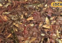 छत्तीसगढ़ के ऑथेंटिक टेस्ट में सुस्की मछली की रेसिपी, इसमें बसती है गांव की खुशबू – Chhattisgarh News