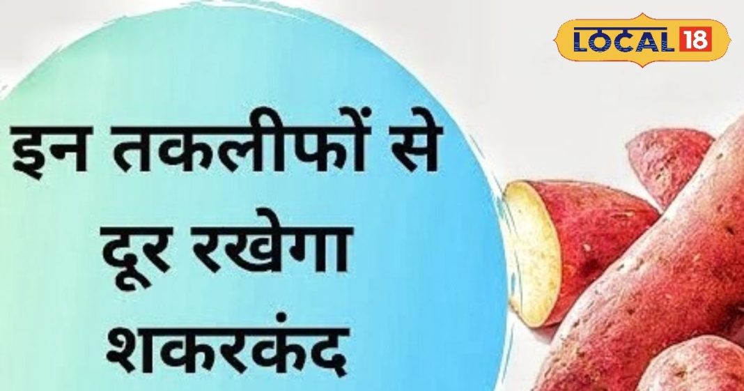 सर्दियों में रोज खाएं शकरकंदी, शरीर रहेगा गर्म और इम्यूनिटी होगी डबल, चेहरे पर आएगा नैचुरल ग्लो