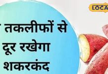 सर्दियों में रोज खाएं शकरकंदी, शरीर रहेगा गर्म और इम्यूनिटी होगी डबल, चेहरे पर आएगा नैचुरल ग्लो