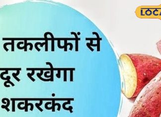 सर्दियों में रोज खाएं शकरकंदी, शरीर रहेगा गर्म और इम्यूनिटी होगी डबल, चेहरे पर आएगा नैचुरल ग्लो