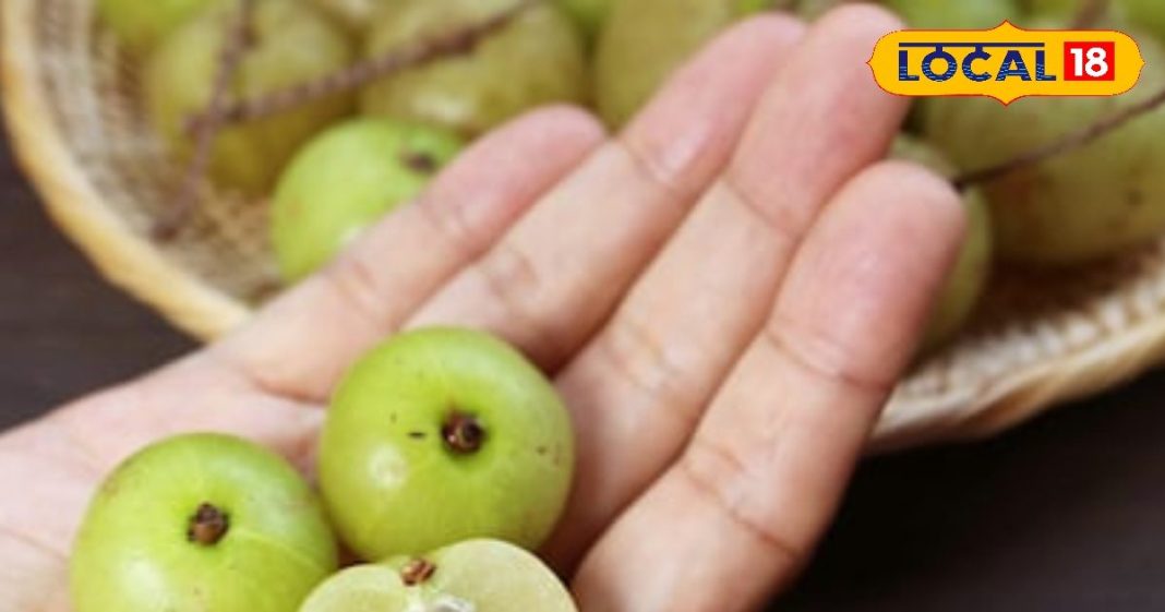 Health tips : बुढ़ापे में दिखोगे बांका जवान, अभी से शुरू कर दें इस खट्टे फल का सेवन, पोते की उम्र वाले कहेंगे भैय्या – Uttar Pradesh News