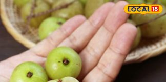 Health tips : बुढ़ापे में दिखोगे बांका जवान, अभी से शुरू कर दें इस खट्टे फल का सेवन, पोते की उम्र वाले कहेंगे भैय्या – Uttar Pradesh News