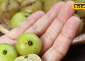 Health tips : बुढ़ापे में दिखोगे बांका जवान, अभी से शुरू कर दें इस खट्टे फल का सेवन, पोते की उम्र वाले कहेंगे भैय्या – Uttar Pradesh News